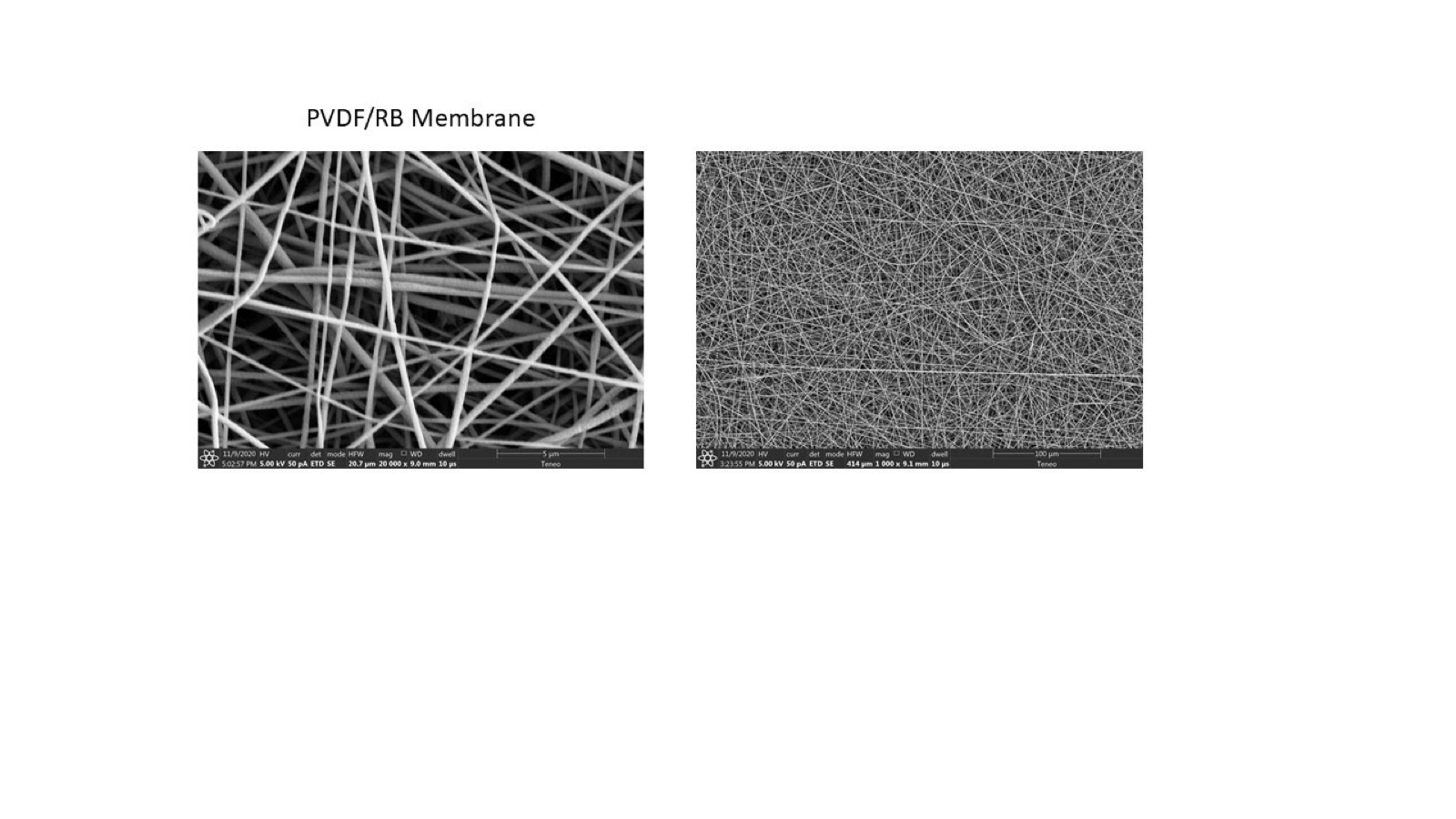 Scanning electron micrograph of Aclara electrospun nanofiber membrane with embedded photoreactive chemistry